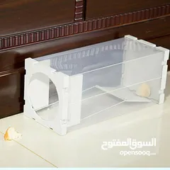  2 Live Catch Mouse Humane Safe Self Catching Rat Trap