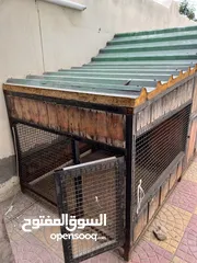  6 Dog cage for sale