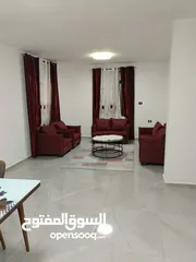  12 شقة مفروشة للايجار