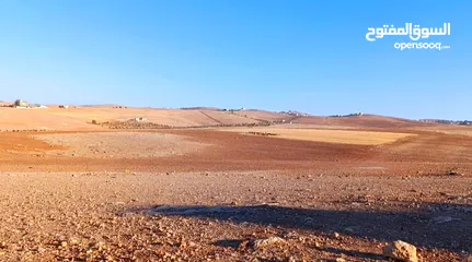  4 ارض استثمارية مميزة/ مزرعة تميرة للبيع بسعر مناسب جدا من المالك مباشرة/تم بيع قطعتين و باقي قطعتين