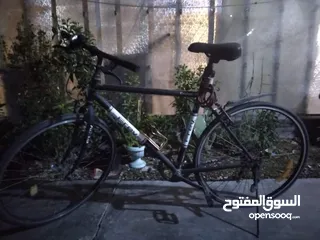  2 باسكل c700