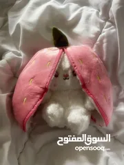  9 ارنب الفراوله والجزر  توفر بالحجمين والتوصيل مجاني