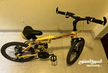  2 Rover TIG20 foldable gear bicycle