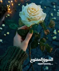  1 منزل مستقل للبيع دورا الخليل
