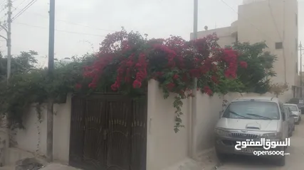  29 بيت مستقل للبيع