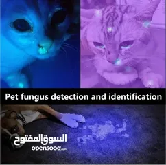  3 كاشف فطريات الحيوانات الأليفة لوكس UV أشعة فوق البنفسجية كشاف العقارب