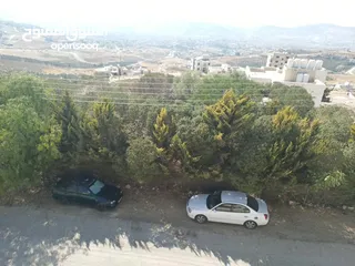  1 ارض مميزه للبيع خلف قصر الاميره بسمه