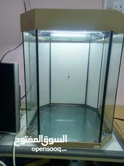  2 Octagon aquarium for sale