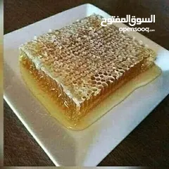  6 عسل 100/100مكفول
