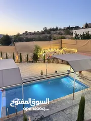  8 مزرعه برادايس اربد سما الروسان للإجارات اليوميه فقط 99 دينار والسهرات فقط 80 دينار