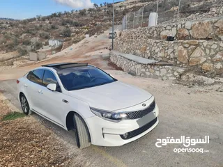  12 كايا k5 اوبتيما