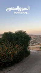  2 مزرعة فخمة خاصة مع فيلا دوبلكس للبيع في أرقى مناطق السلط ام جوزه ، إطلالات ساحرة وخلابة