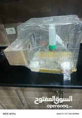  1 جوز حب شغالات ومنتجات الفحل كرست الوان حلوه كان تحتيهم 3 بيضات وتكسروا بالغلط عند النقل وحاليا بجهزو