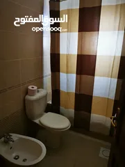  17 Furnished Apartment to Rent  ( Property 42758 )-174657780