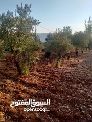  1 أرض ذات إطلالة خلابة في أجمل مناطق جرش