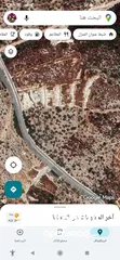  2 القبة الذهبية ارضي بلعا دير الغصون قرب بجورا