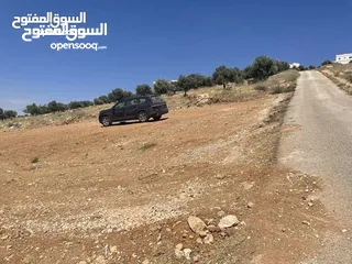  6 أرض زراعي 3.5 دونم للبيع بسعر 60000 دينار صافي