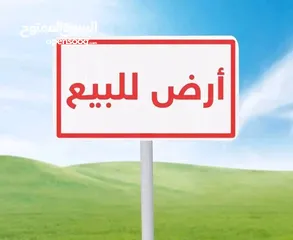  1 ارض تجاريه للبيع