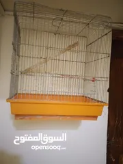  4 مطير +قفص للبيع بسعر مغرررررري