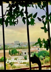  2 شقة للبيع عمارة السلطان 2
