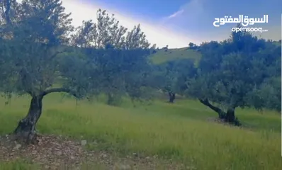  14 قطعه ارض للبيع من المالك مباشره ذات اطلاله بانوراما خلابه مفروزه