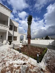  24 كافة أصناف اشجار الزينه