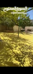  2 شقه للبيع في منطقه رام الله اتحتا مساحه داخلي  130 متر مع حديقه 250متر