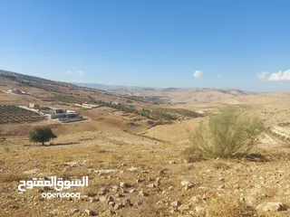  10 ارض زراعية ذات اطلالة رائعة للبيع في صروت السفوح تصلح لمزرعة او شاليه او للاستثمار أو إقامة منتجع