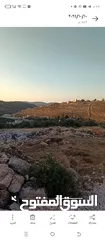  3 ارض تصلح لانشاء اسكان او فيلا