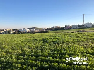  6 اراضي للبيع بسعر مميز بالقرب من الجامعه الامانيه