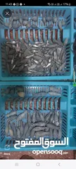  22 fishing rod reel available all item