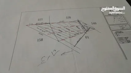  7 ارض للبيع