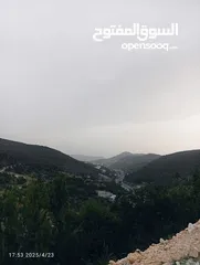  5 بيت العز والكرم