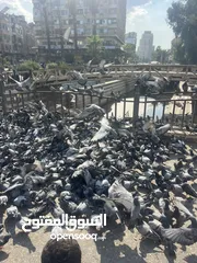  1 اريد قطعة ل دراجه هوائيه