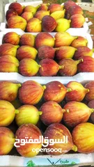  3 تين تركي براون Fig Fruit