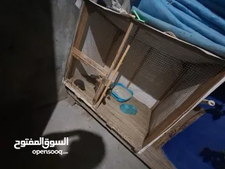  17 قفص مستعمل يدوي متر ونصف في 80 سم.................................................................