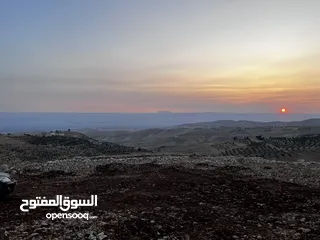  23 تملك الان فرصة العمر قطعة ارض من اراضي غرب عمان مطلة على فلسطين و الاغوار و البحر الميت و سد الكفرين