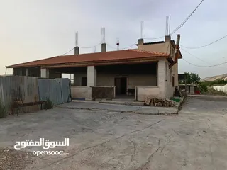  12 مزرعه مثمره للبيع
