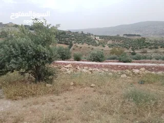  10 أرض ذات إطلالة خلابة في أجمل مناطق جرش