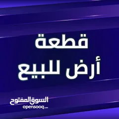  3 قطعة أرض للبيع في منطقة الجمعيات مقابيل ساحة الصلاة مقابل خدمات