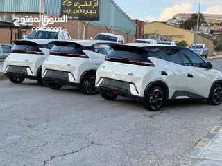  6 بس واي دي سيجول 305k 2023