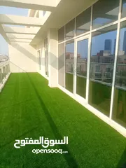  2 artificial grass