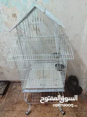  7 ببغاء كوكاتو جوفن