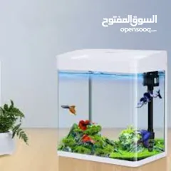  12 aquarium tanks