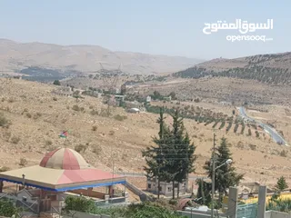  6 خمس دونمات في بيرين على شارعين بسعر مغري لفيلا او مزرعة
