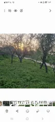  3 ارض كوشان طابو منطقه B مطله وكاشفه. وسط البلد يصلها شارع وجميع الخدمات حولها فلل