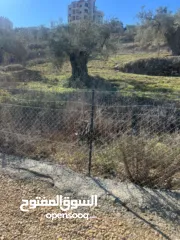  3 كوبر / ارض للبيع واصلها جميع الخدمات