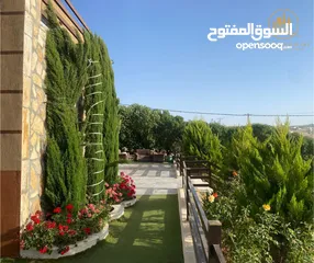  20 اعلان رقم (5393) فرصة استثمارية لا تُعوّض – مزرعتان للبيع لعدم التفرغ – منطقة بيرين / صروت