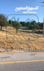  2 قطعة ارض في اجمل مواقع عجلون بسعر مغري للبيع قابل للتفاوض على السعر  (القطعه 3 دونمات ونصف )
