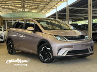  15 BYD DOLPHIN FASHION 2022
